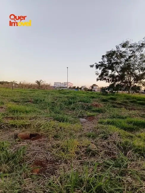 Terreno / Lote à venda, 499m2 em Ribeirao Preto - SP - imagem 6 Foto 6 de Terreno / Lote à venda, 499m2 em Ribeirao Preto - SP