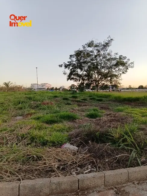 Terreno / Lote à venda, 499m2 em Ribeirao Preto - SP - imagem 8 Foto 8 de Terreno / Lote à venda, 499m2 em Ribeirao Preto - SP