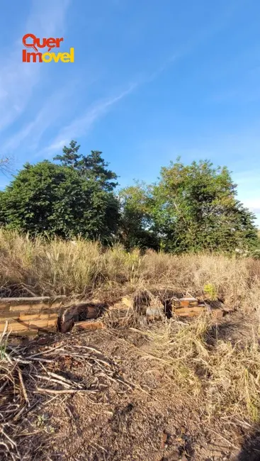 Foto 6 de Terreno / Lote à venda, 580m2 em Jardim Itaú, Ribeirao Preto - SP