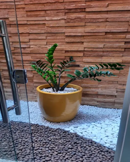 Foto 7 de Casa com 2 quartos à venda, 250m2 em Centro, Fortim - CE