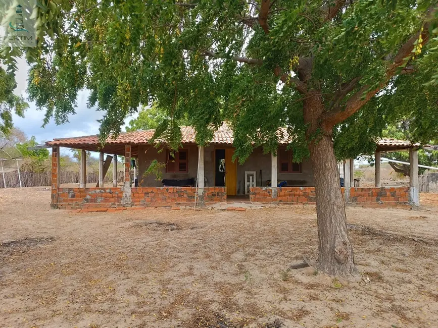Casa com 3 quartos à venda, 10000m2 em Aracati - CE - imagem 9 Foto 9 de Casa com 3 quartos à venda, 10000m2 em Aracati - CE