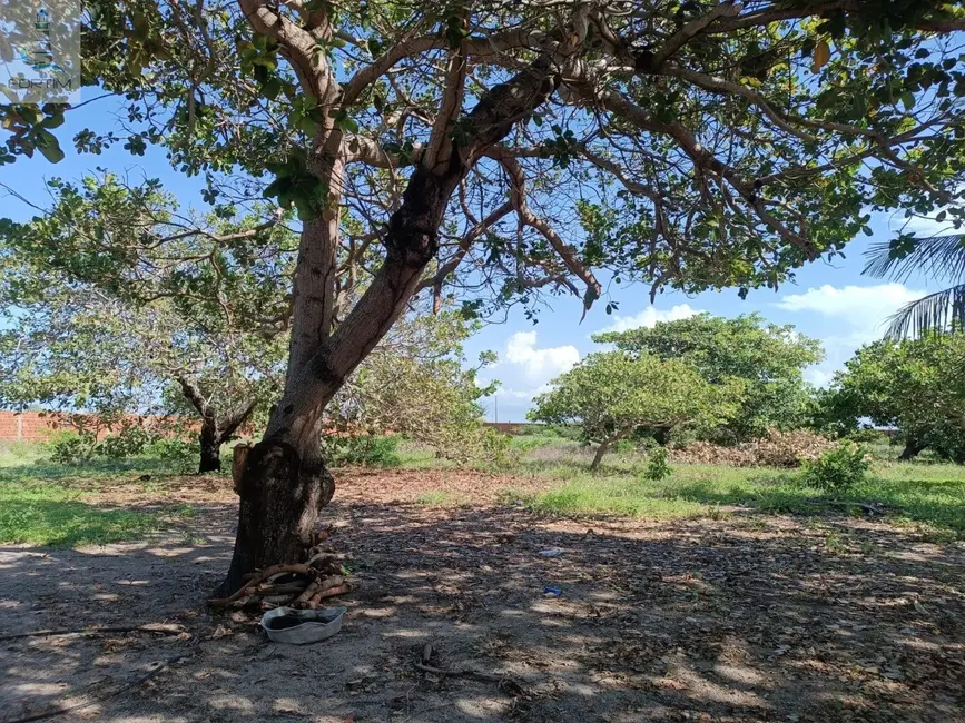 Foto 5 de Terreno / Lote à venda, 10800m2 em Fortim - CE