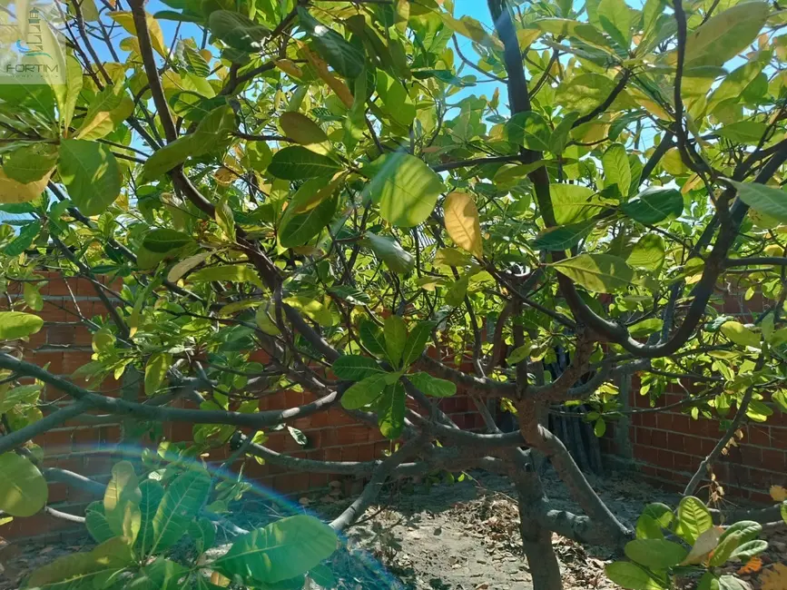 Foto 7 de Terreno / Lote à venda, 840m2 em Fortim - CE