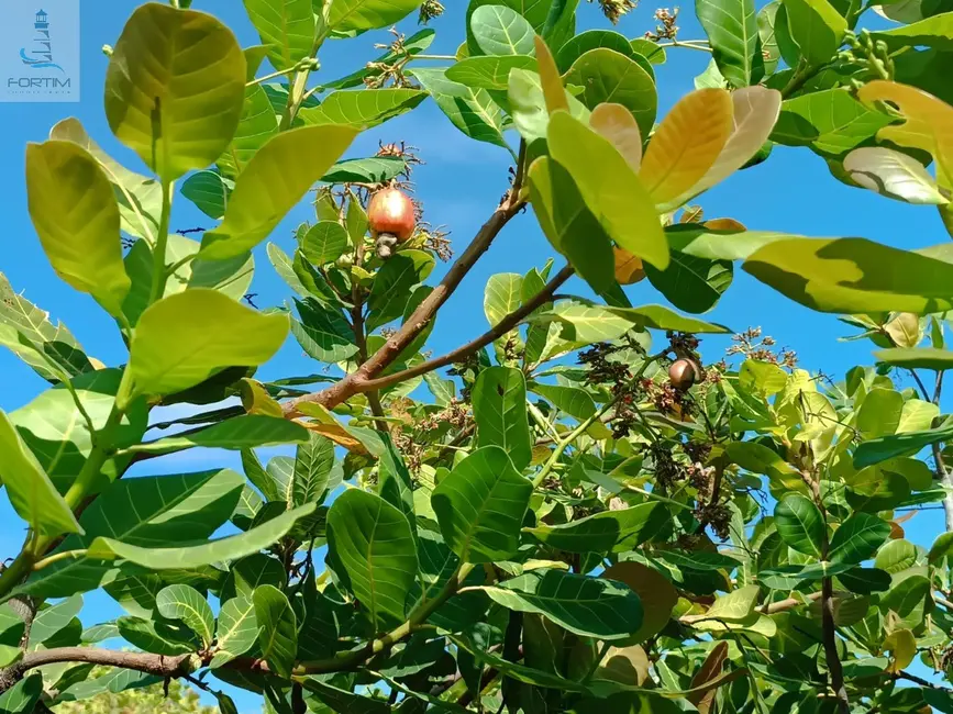 Foto 5 de Terreno / Lote à venda, 840m2 em Fortim - CE