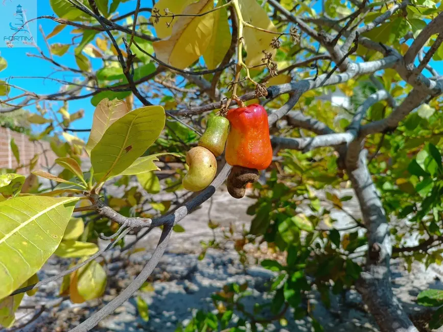 Foto 6 de Terreno / Lote à venda, 840m2 em Fortim - CE