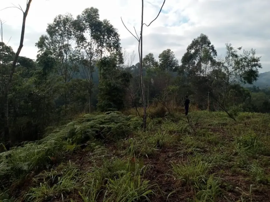 Foto 2 de Terreno / Lote com 1 quarto à venda, 7211m2 em Eldorado - SP