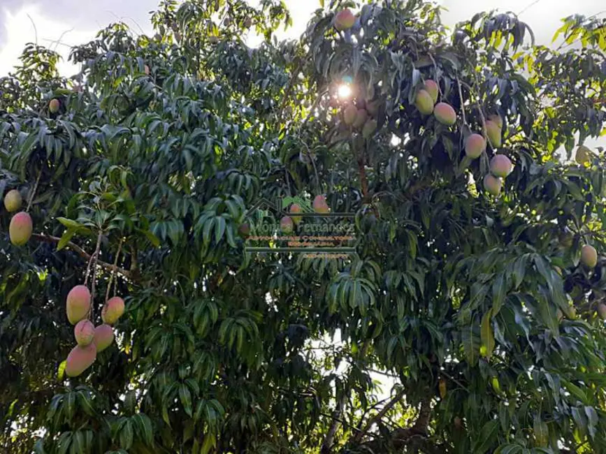 Sítio / Rancho com 2 quartos à venda, 80m2 em Itaborai - RJ - imagem 7 Foto 7 de Sítio / Rancho com 2 quartos à venda, 80m2 em Itaborai - RJ