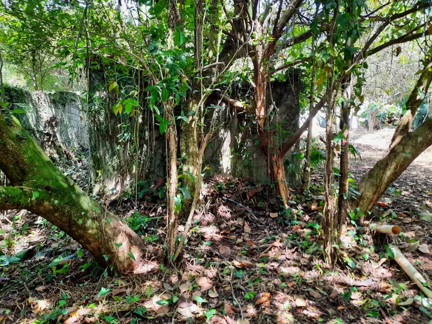 Foto 7 de Terreno / Lote à venda, 2437m2 em Chácara Eliana, Cotia - SP