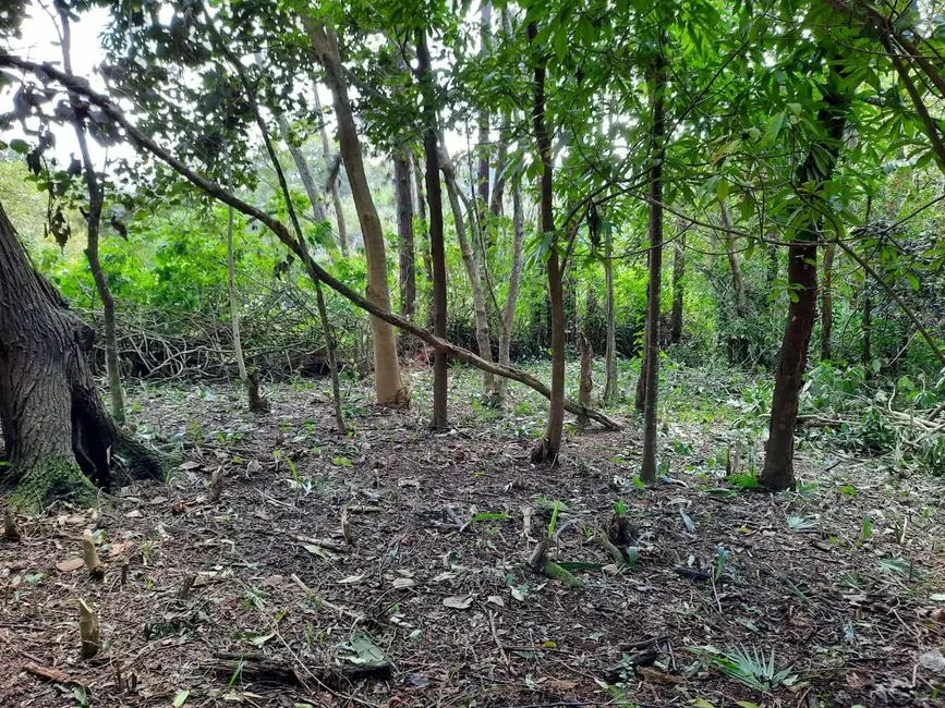 Foto 3 de Terreno / Lote à venda, 2437m2 em Chácara Eliana, Cotia - SP