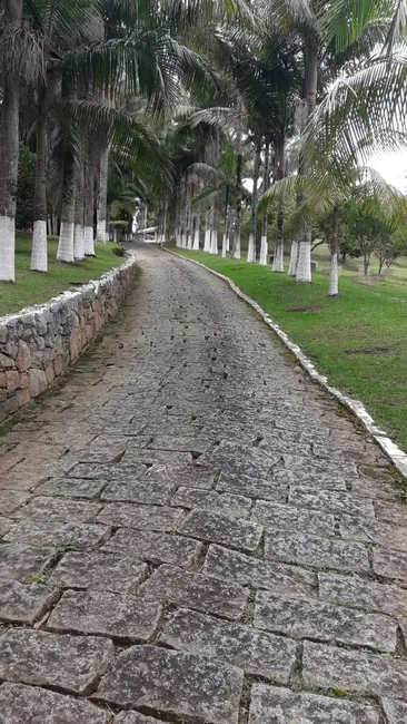 Foto 8 de Chácara com 2 quartos à venda, 10000m2 em Cotia - SP