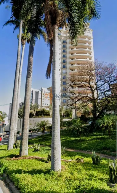 Apartamento com 6 quartos à venda, 1099m2 em Cambuí, Campinas - SP - imagem 4 Foto 4 de Apartamento com 6 quartos à venda, 1099m2 em Cambuí, Campinas - SP