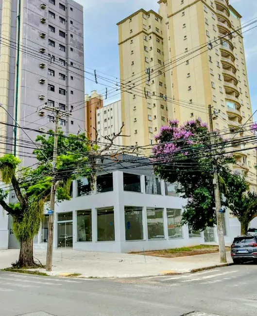 Foto 1 de Sala Comercial para alugar, 624m2 em Vila Itapura, Campinas - SP