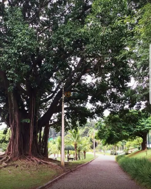 Casa de Condomínio com 4 quartos à venda, 619m2 em Loteamento Alphaville Campinas, Campinas - SP - imagem 7 Foto 7 de Casa de Condomínio com 4 quartos à venda, 619m2 em Loteamento Alphaville Campinas, Campinas - SP