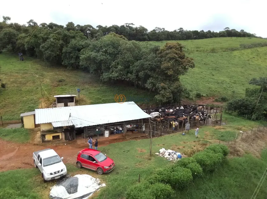 Foto 7 de Fazenda / Haras com 6 quartos à venda, 500m2 em Centro, Antonio Carlos - MG