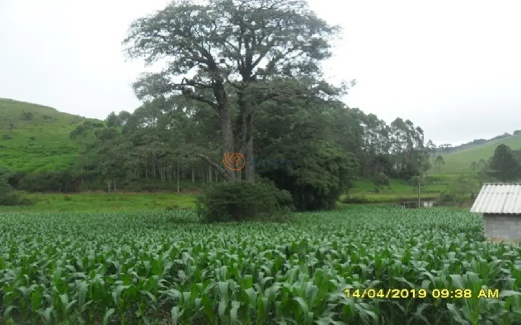 Foto 3 de Fazenda / Haras com 6 quartos à venda, 500m2 em Centro, Antonio Carlos - MG