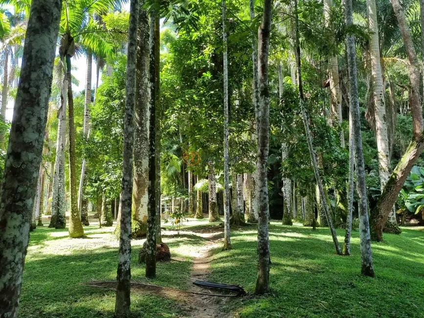Foto 6 de Fazenda / Haras com 4 quartos à venda, 590m2 em Área Rural de Três Rios, Tres Rios - RJ