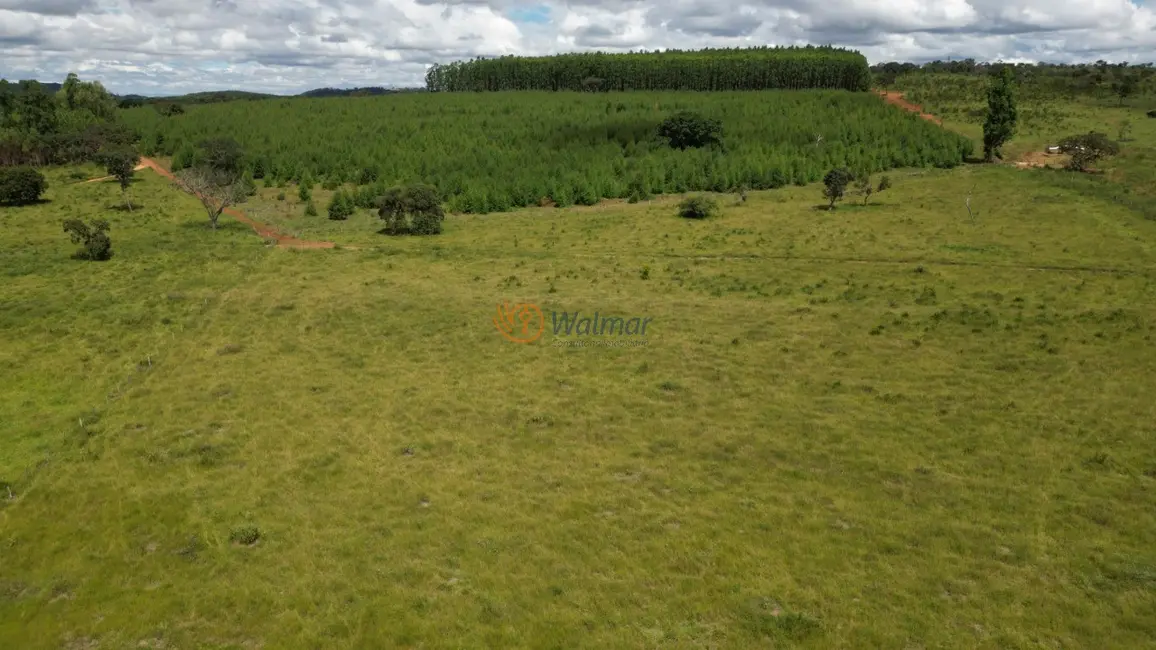 Foto 2 de Fazenda / Haras com 4 quartos à venda, 1054m2 em Centro, Matozinhos - MG