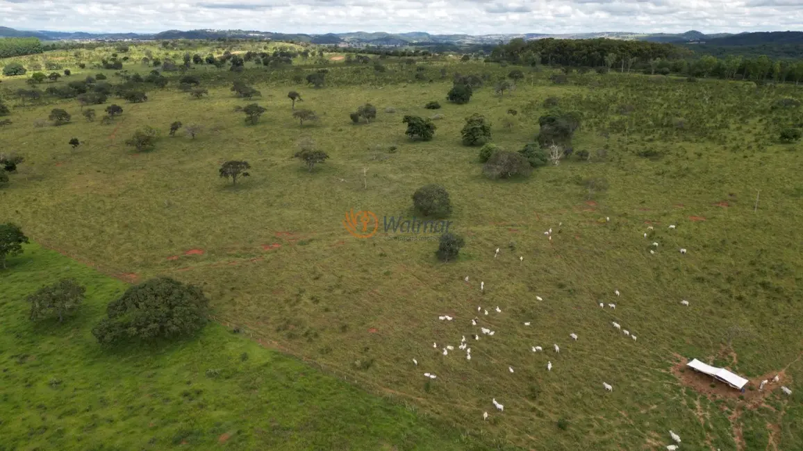 Fazenda / Haras com 4 quartos à venda, 1054m2 em Centro, Matozinhos - MG - imagem 7 Foto 7 de Fazenda / Haras com 4 quartos à venda, 1054m2 em Centro, Matozinhos - MG