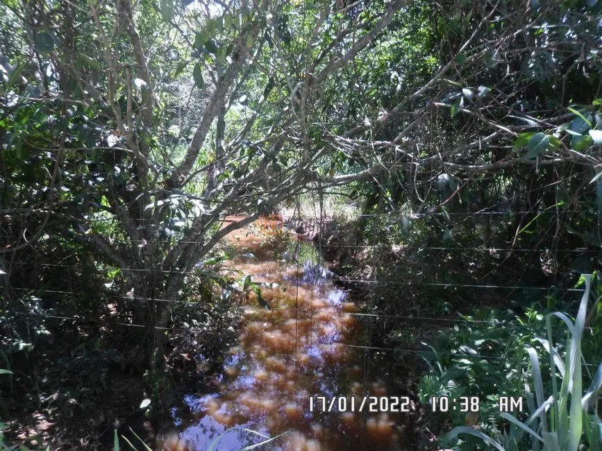 Foto 6 de Fazenda / Haras com 4 quartos à venda, 4660m2 em Centro, Rio Espera - MG