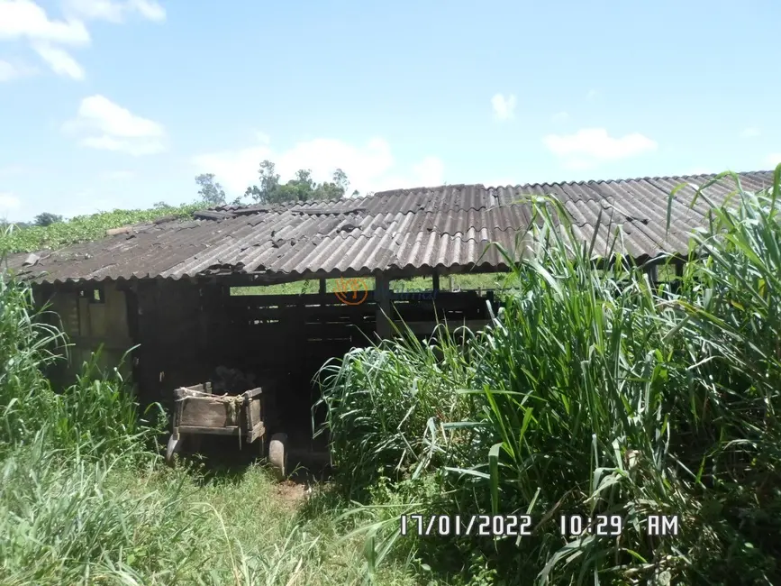 Foto 8 de Fazenda / Haras com 4 quartos à venda, 4660m2 em Centro, Rio Espera - MG
