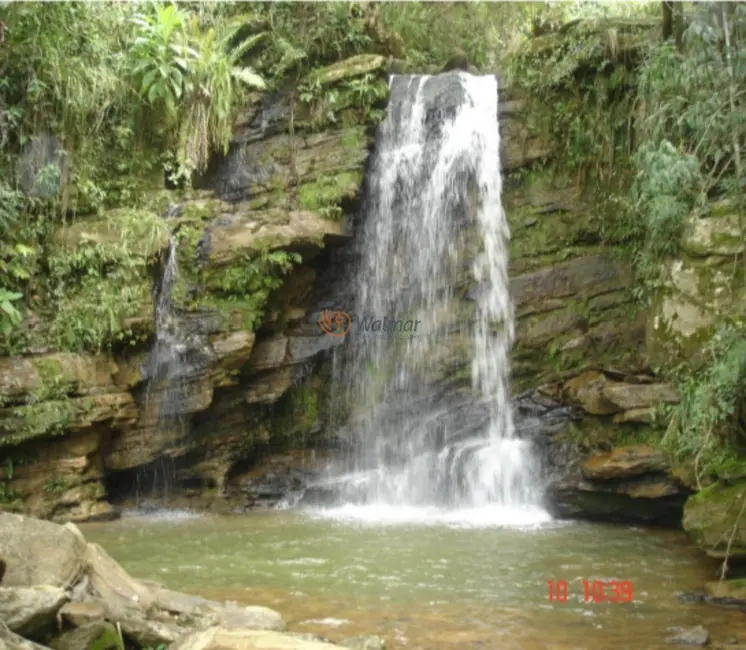 Foto 1 de Fazenda / Haras com 4 quartos à venda, 500m2 em Centro, Avare - SP