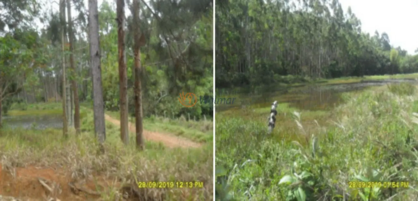 Foto 3 de Fazenda / Haras com 4 quartos à venda, 500m2 em Centro, Avare - SP