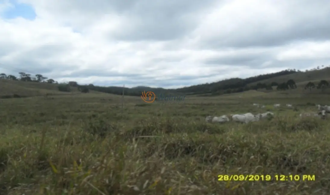 Foto 6 de Fazenda / Haras com 4 quartos à venda, 500m2 em Centro, Avare - SP