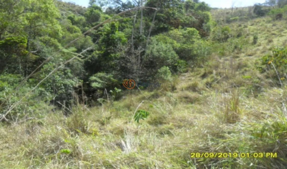 Foto 7 de Fazenda / Haras com 4 quartos à venda, 500m2 em Centro, Avare - SP