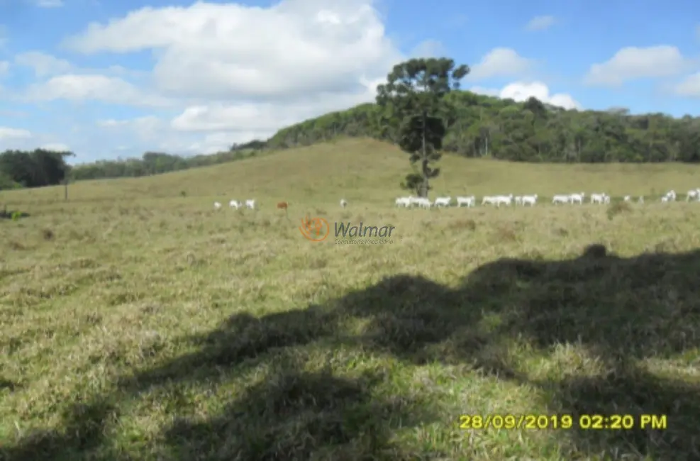 Foto 4 de Fazenda / Haras com 4 quartos à venda, 500m2 em Centro, Avare - SP