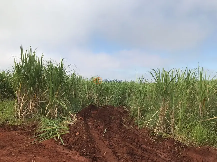 Foto 6 de Fazenda / Haras com 4 quartos à venda, 47m2 em Centro, Avare - SP