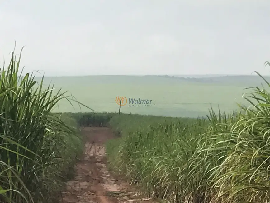 Foto 4 de Fazenda / Haras com 4 quartos à venda, 47m2 em Centro, Avare - SP