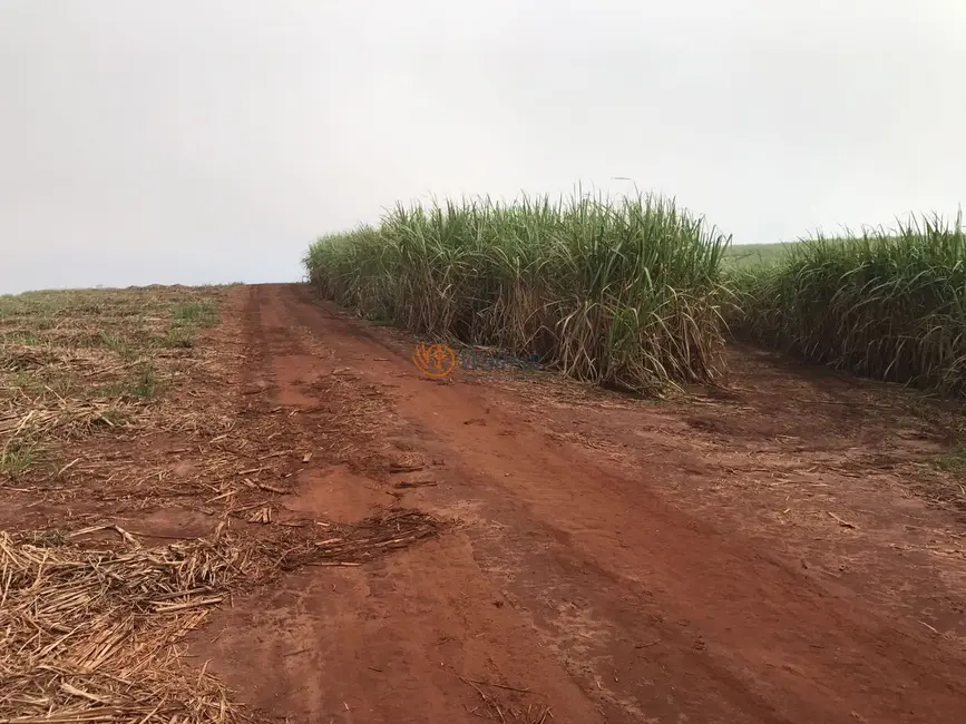 Foto 9 de Fazenda / Haras com 4 quartos à venda, 47m2 em Centro, Avare - SP