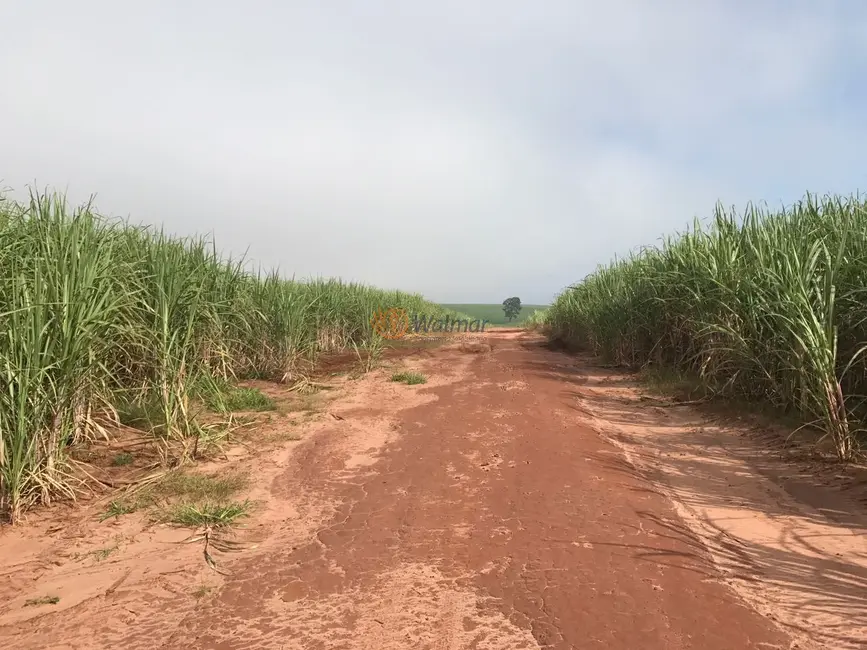 Foto 7 de Fazenda / Haras com 4 quartos à venda, 47m2 em Centro, Avare - SP
