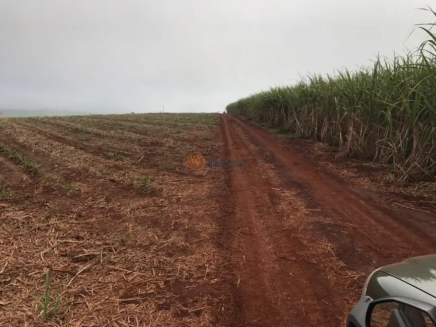 Foto 8 de Fazenda / Haras com 4 quartos à venda, 47m2 em Centro, Avare - SP