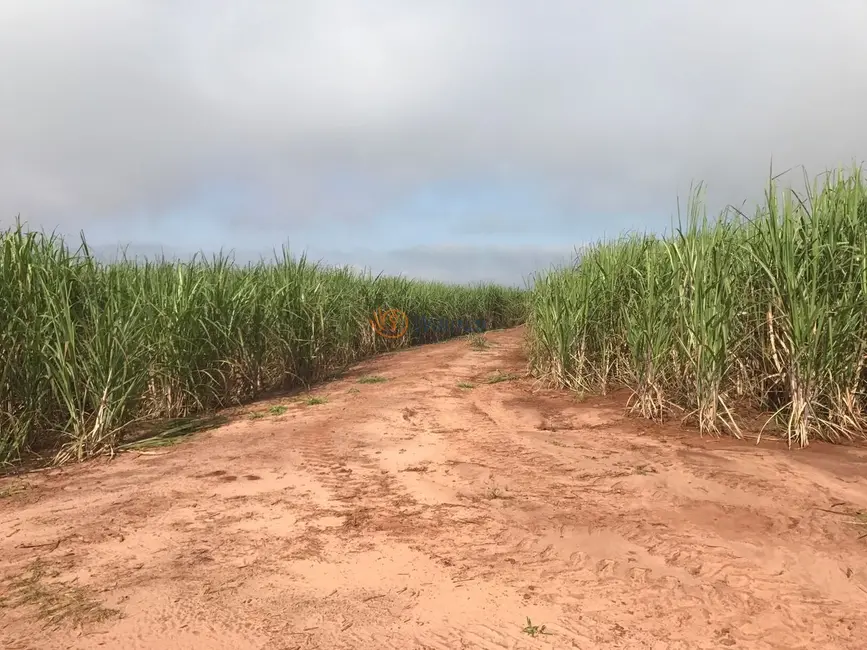 Foto 5 de Fazenda / Haras com 4 quartos à venda, 47m2 em Centro, Avare - SP