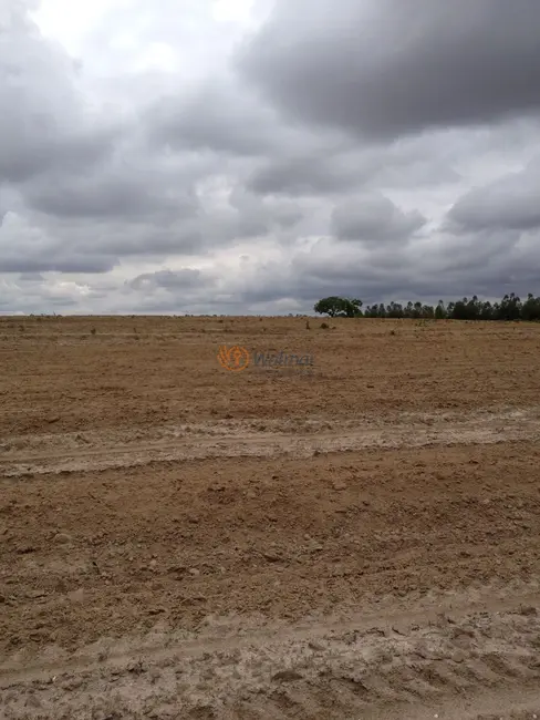 Foto 3 de Fazenda / Haras com 4 quartos à venda, 47m2 em Centro, Avare - SP