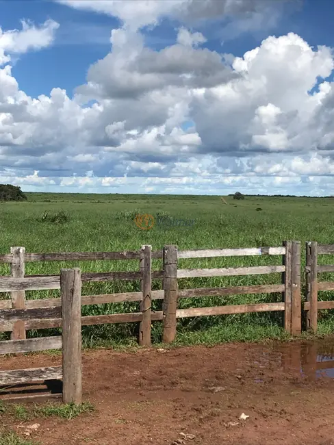 Foto 5 de Fazenda / Haras com 20 quartos à venda, 20303m2 em Vila Rica - MT