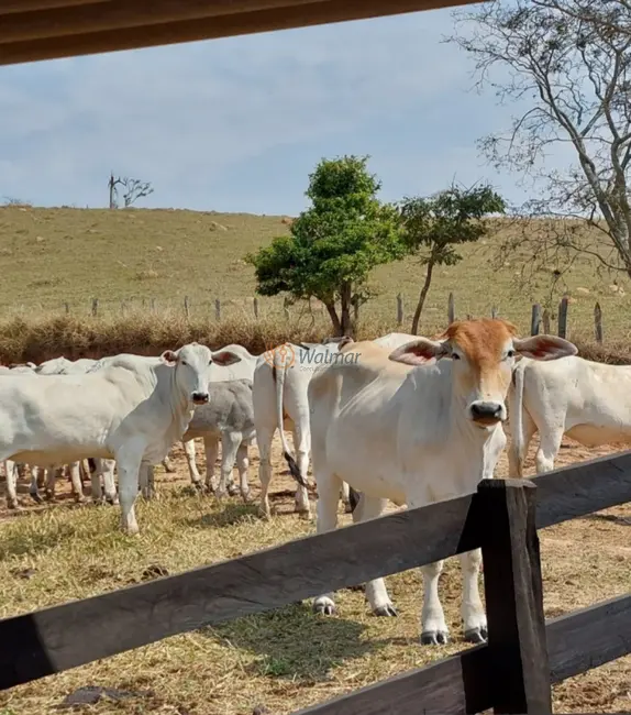 Foto 1 de Sítio / Rancho com 3 quartos à venda, 320m2 em Centro, Monte Siao - MG