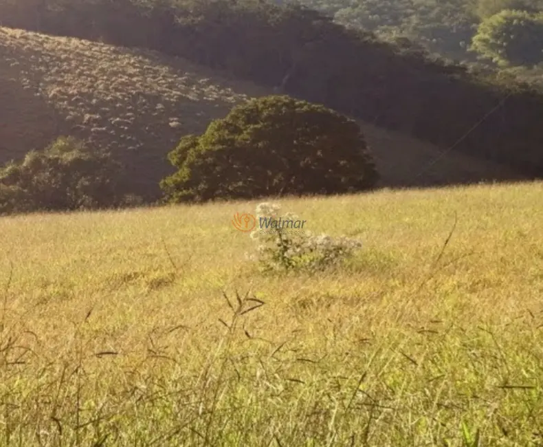 Foto 4 de Sítio / Rancho com 3 quartos à venda, 320m2 em Centro, Monte Siao - MG