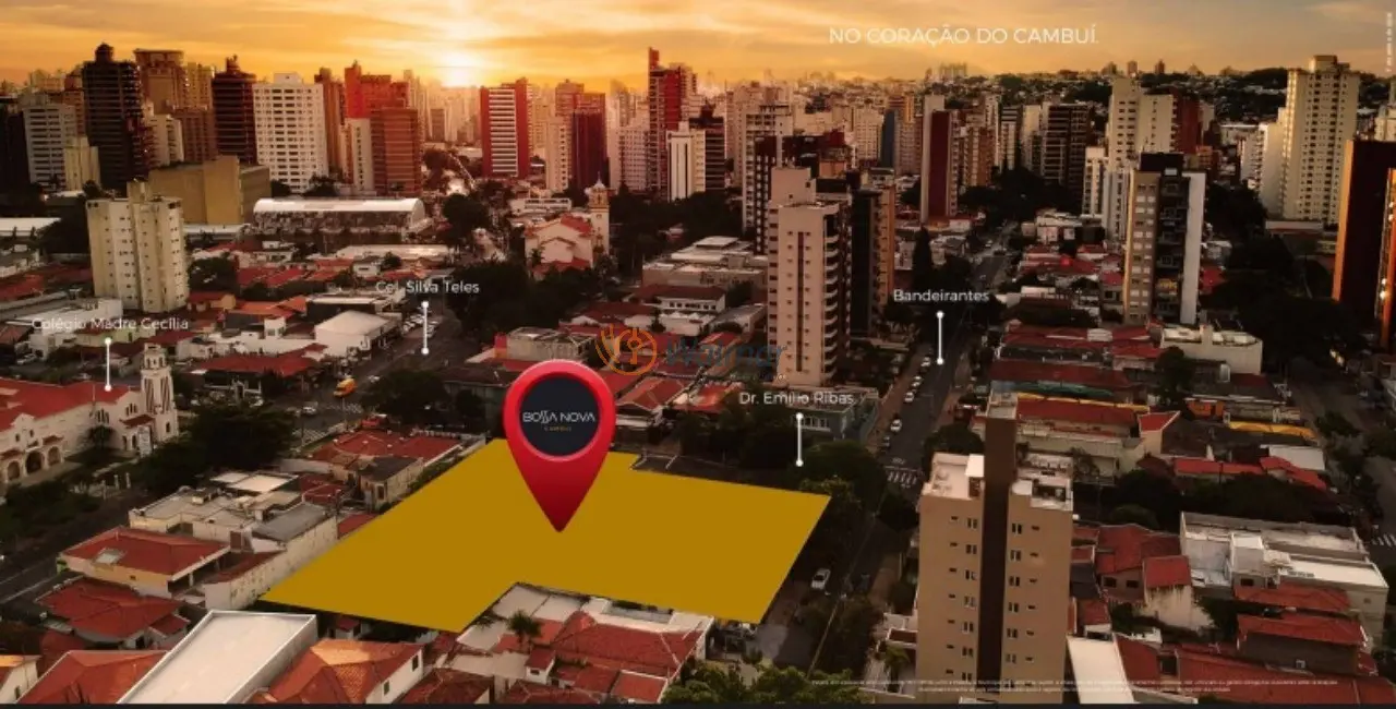 Apartamento com 4 quartos à venda, 257m2 em Cambuí, Campinas - SP - imagem 6 Foto 6 de Apartamento com 4 quartos à venda, 257m2 em Cambuí, Campinas - SP