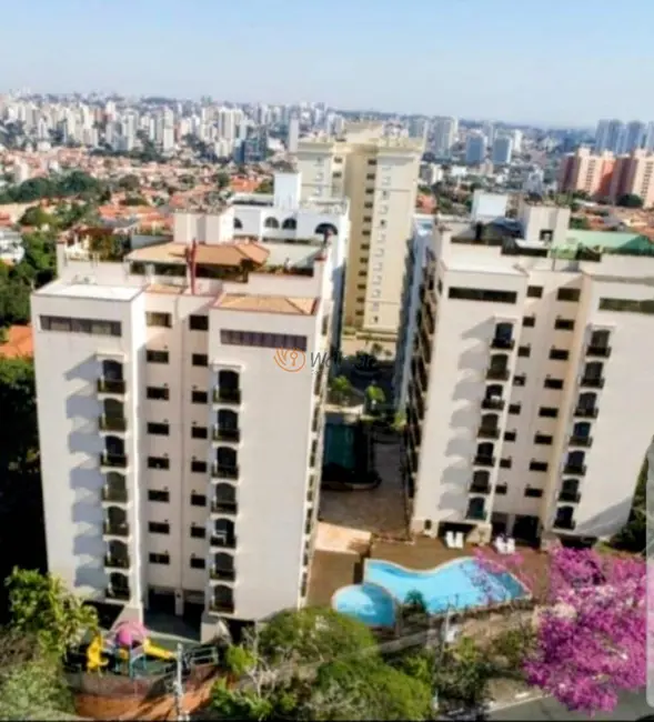 Apartamento com 3 quartos à venda, 116m2 em Jardim das Paineiras, Campinas - SP - imagem 1 Foto 1 de Apartamento com 3 quartos à venda, 116m2 em Jardim das Paineiras, Campinas - SP