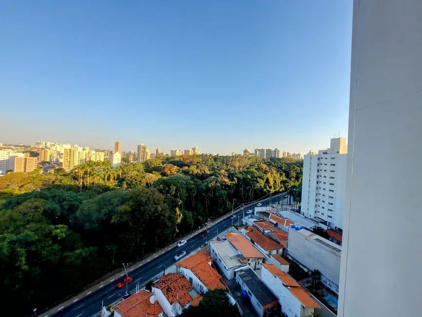 Apartamento com 3 quartos para alugar, 116m2 em Centro, Campinas - SP - imagem 6 Foto 6 de Apartamento com 3 quartos para alugar, 116m2 em Centro, Campinas - SP