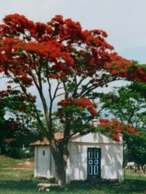 Foto 7 de Fazenda / Haras com 16 quartos à venda, 550m2 em Pedreira - SP