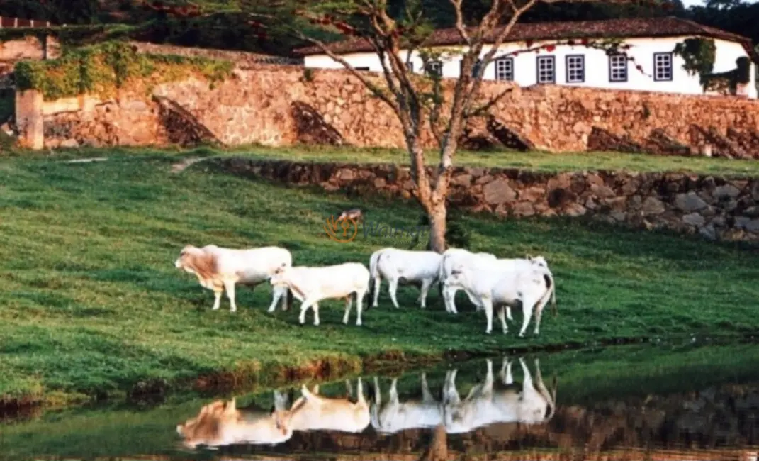 Foto 3 de Fazenda / Haras com 16 quartos à venda, 550m2 em Pedreira - SP