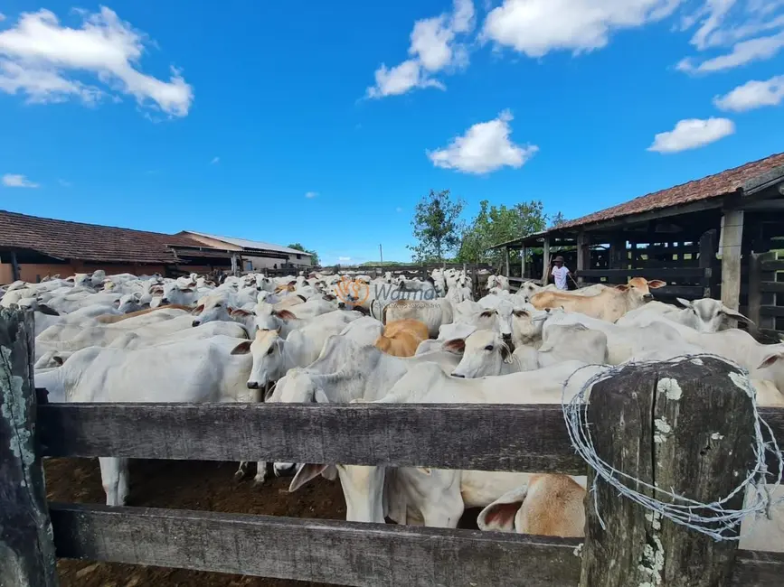 Foto 1 de Fazenda / Haras com 6 quartos à venda, 52m2 em Centro, Araruama - RJ