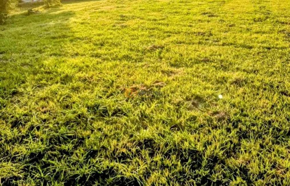 Foto 2 de Terreno / Lote à venda, 2540m2 em Loteamento Alphaville Campinas, Campinas - SP