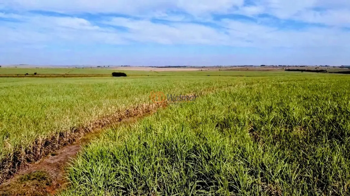 Fazenda / Haras com 4 quartos à venda, 402m2 em Área Rural de Araçatuba, Aracatuba - SP - imagem 6 Foto 6 de Fazenda / Haras com 4 quartos à venda, 402m2 em Área Rural de Araçatuba, Aracatuba - SP