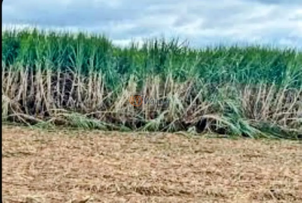 Fazenda / Haras com 4 quartos à venda, 402m2 em Área Rural de Araçatuba, Aracatuba - SP - imagem 5 Foto 5 de Fazenda / Haras com 4 quartos à venda, 402m2 em Área Rural de Araçatuba, Aracatuba - SP
