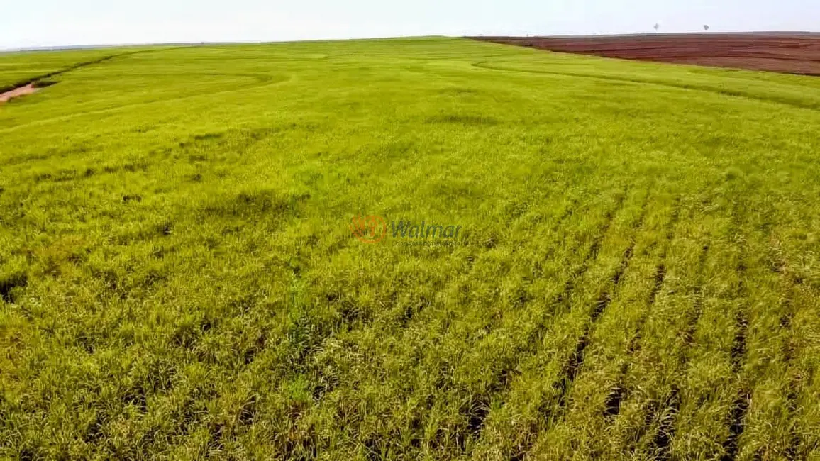 Fazenda / Haras com 4 quartos à venda, 402m2 em Área Rural de Araçatuba, Aracatuba - SP - imagem 3 Foto 3 de Fazenda / Haras com 4 quartos à venda, 402m2 em Área Rural de Araçatuba, Aracatuba - SP
