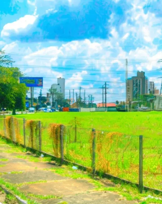 Terreno / Lote à venda e para alugar, 2696m2 em Jardim das Paineiras, Campinas - SP - imagem 1 Foto 1 de Terreno / Lote à venda e para alugar, 2696m2 em Jardim das Paineiras, Campinas - SP